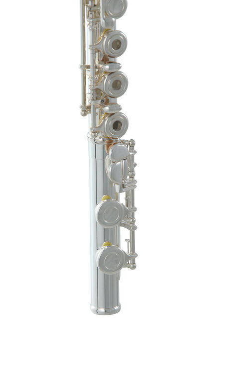 Flauta Travesera Roy Benson FL-402R2