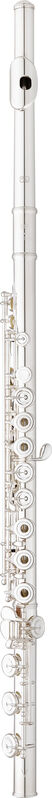 Flauta EASTMAN Intermediate EFL415-B