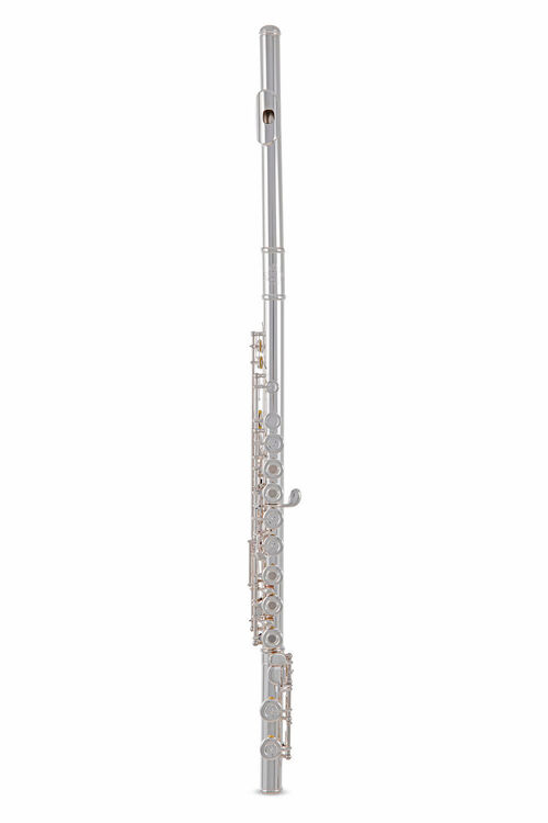 Flauta Roy Benson FL-602RI