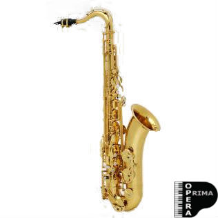 Saxo tenor Buffet Serie 100 lacado (BC8102-1-0)