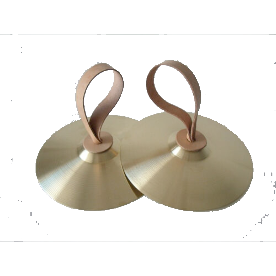 Crótalos y Platos escolares