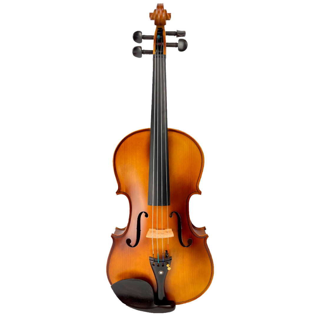 Viola