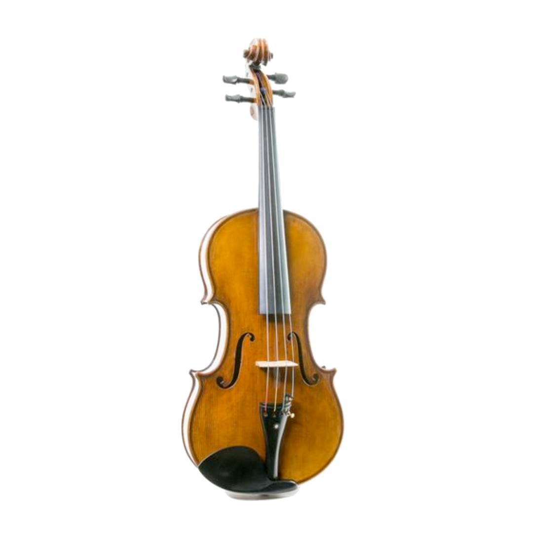 Violas 14"