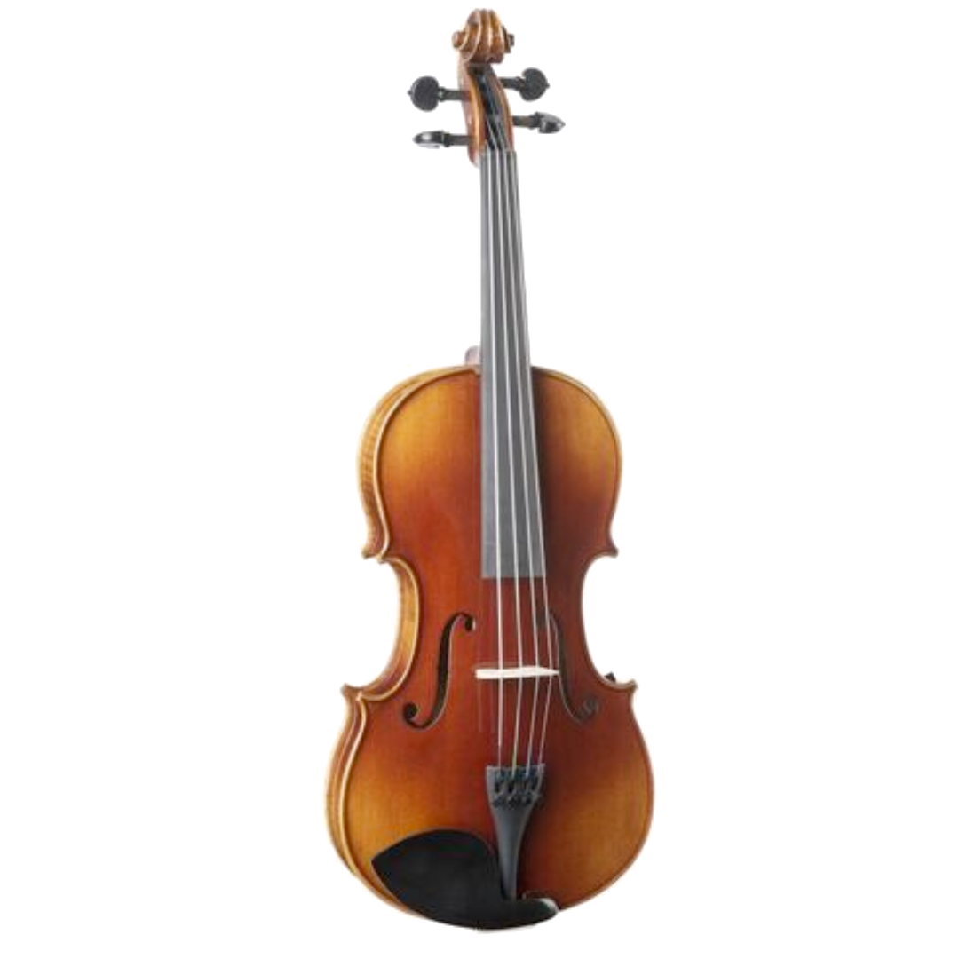 Violas 16"