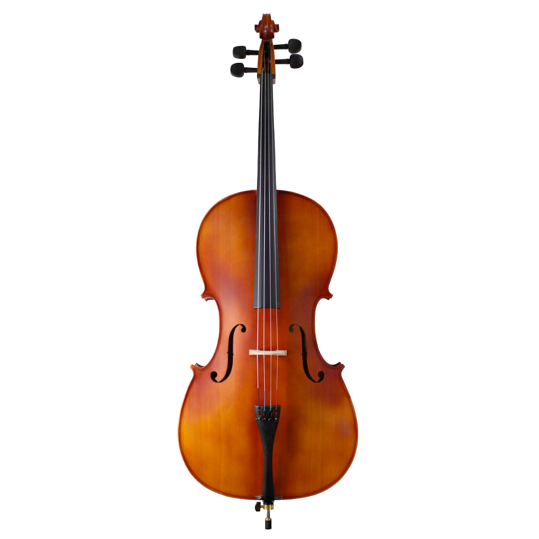 Violonchelos 3/4