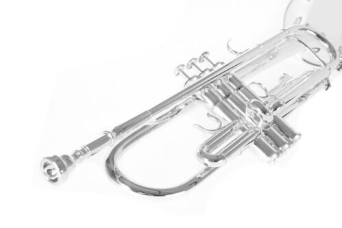 Trompeta Sib Roy Benson TR-202S