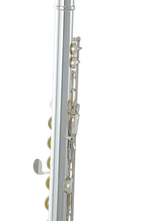 Flauta Travesera Roy Benson FL-402R2