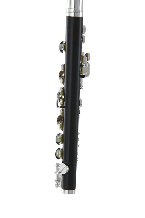 Flauta piccolo Roy Benson PC-502