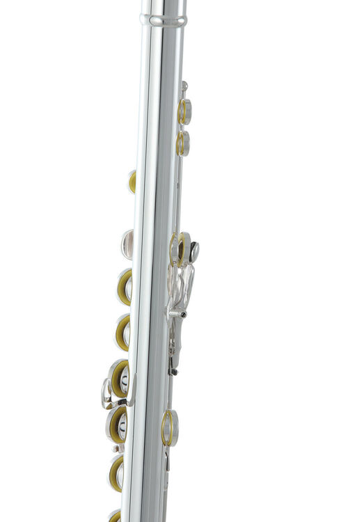 Flauta Roy Benson FL-602E
