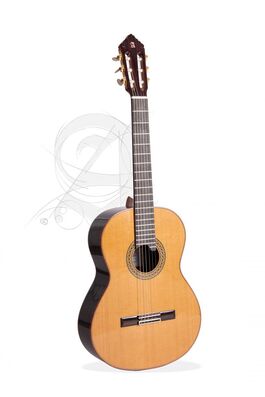 Guitarra Clsica Alhambra Premier Pro Madagascar