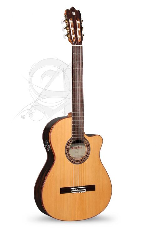 Guitarra Semi-acstica Alhambra Iberia Ziricote CTW E8