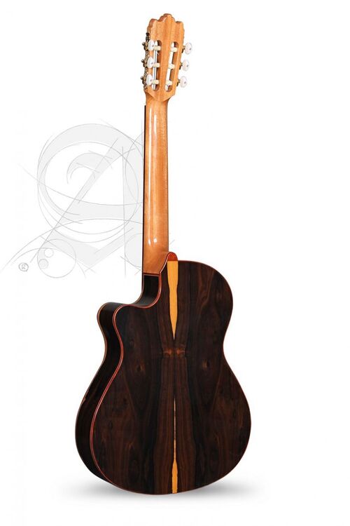 Guitarra Semi-acstica Alhambra Iberia Ziricote CTW E8