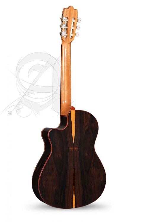 Guitarra Semi-acústica Alhambra Iberia Ziricote CTW E8