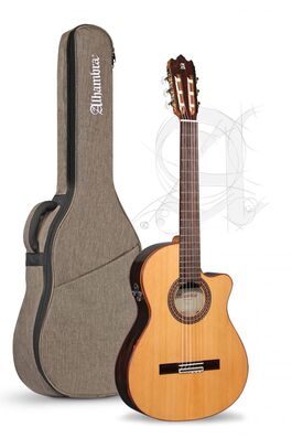 Guitarra Semi-acústica Alhambra Iberia Ziricote CTW E8