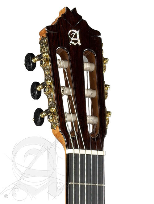 Guitarra Semi-acstica Alhambra 9 P CW E8