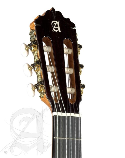 Guitarra Semi-acústica Alhambra 5 P CT E2