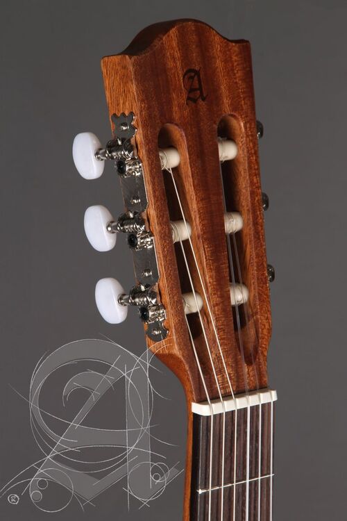 Guitarra Semi-acústica Alhambra Z-Nature CW EZ