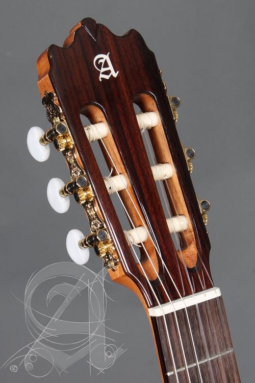 Guitarra Semi-acústica Alhambra Iberia Ziricote CTW E8