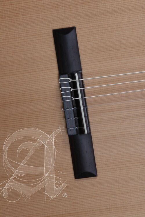 Guitarra Clásica Alhambra Z-Nature