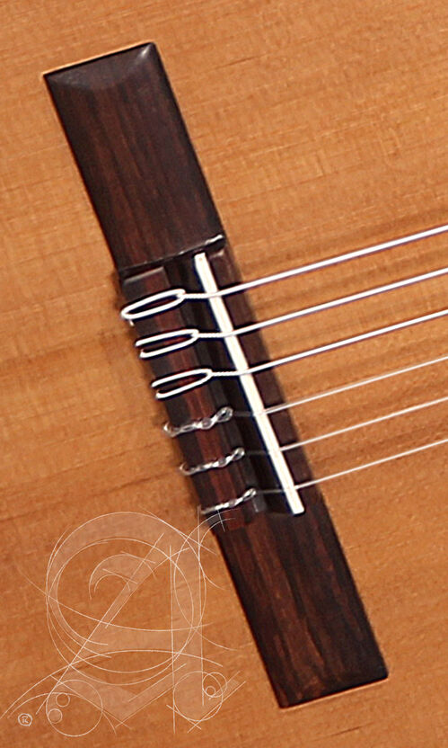Guitarra Semi-acústica Alhambra  Z-Nature CT EZ