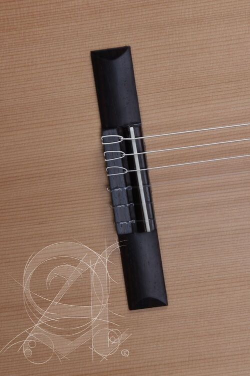 Guitarra Semi-acústica Alhambra Z-Nature CW EZ