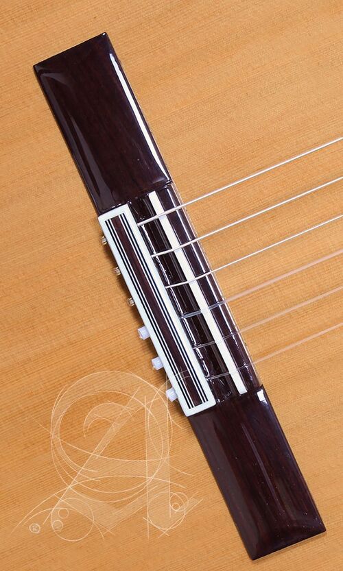 Guitarra Semi-acústica Alhambra Iberia Ziricote CTW E8
