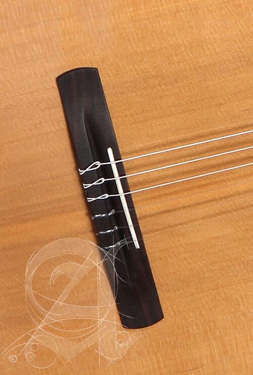 Guitarra Semi-acústica Alhambra CS-LR CW E1