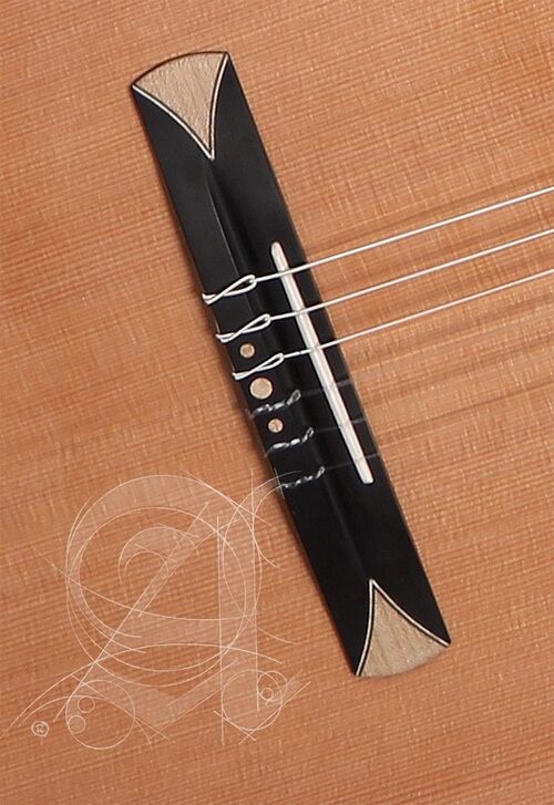 Guitarra Semi-acústica Alhambra CS-3 CW E8