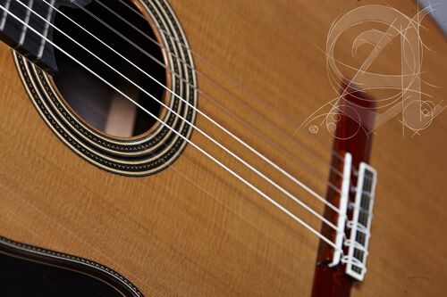 Guitarra Clásica Alhambra Linea Profesional
