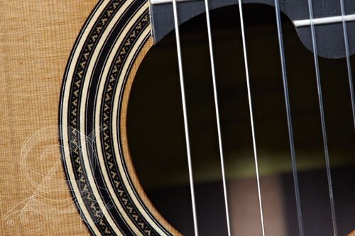 Guitarra Clásica Alhambra Linea Profesional