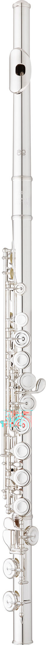 Flauta Eastman Performance EFL414SE-CO