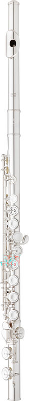 Flauta EASTMAN Intermediate EFL414SE-CO
