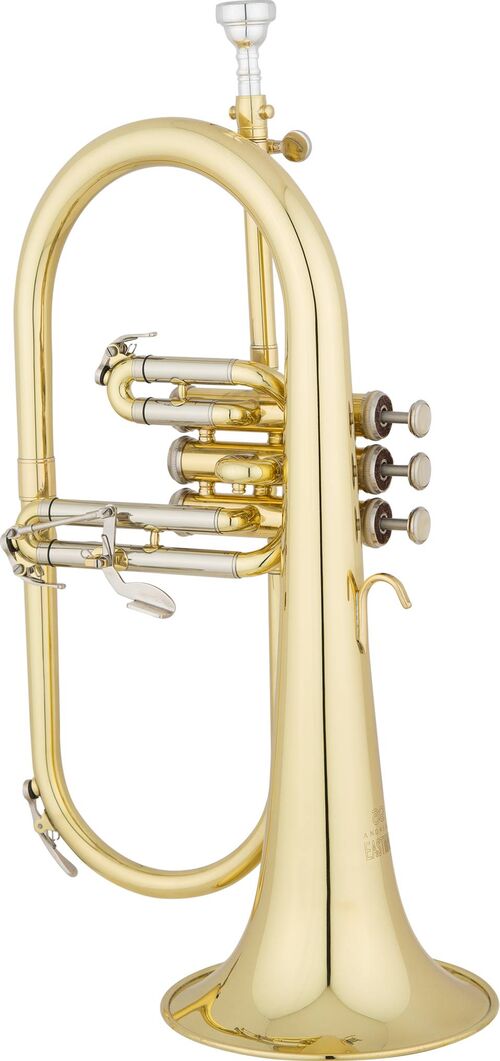 Fliscorno Eastman Student EFG421