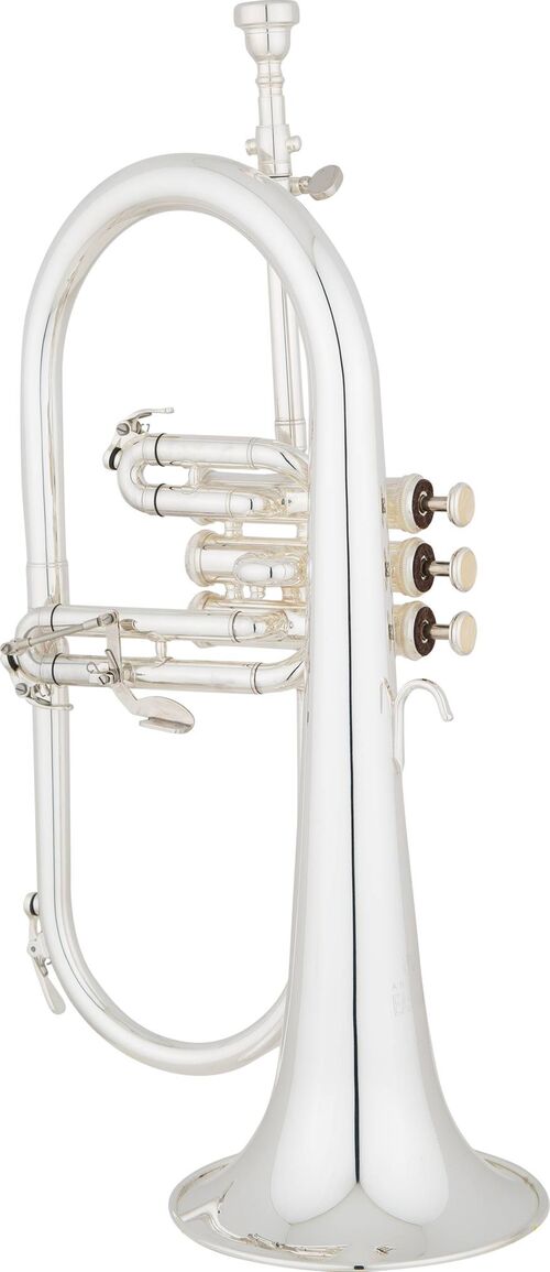 Fliscorno Eastman Student EFG421S