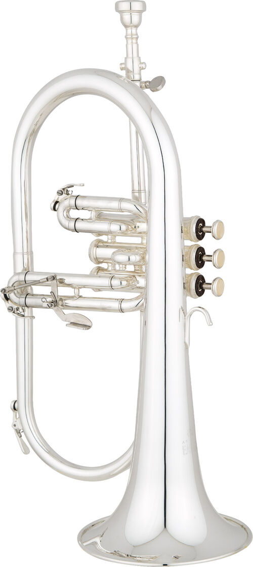 Fliscorno Eastman Student EFG521GS