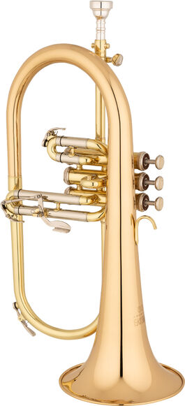 Fliscorno Eastman Student EFG521G
