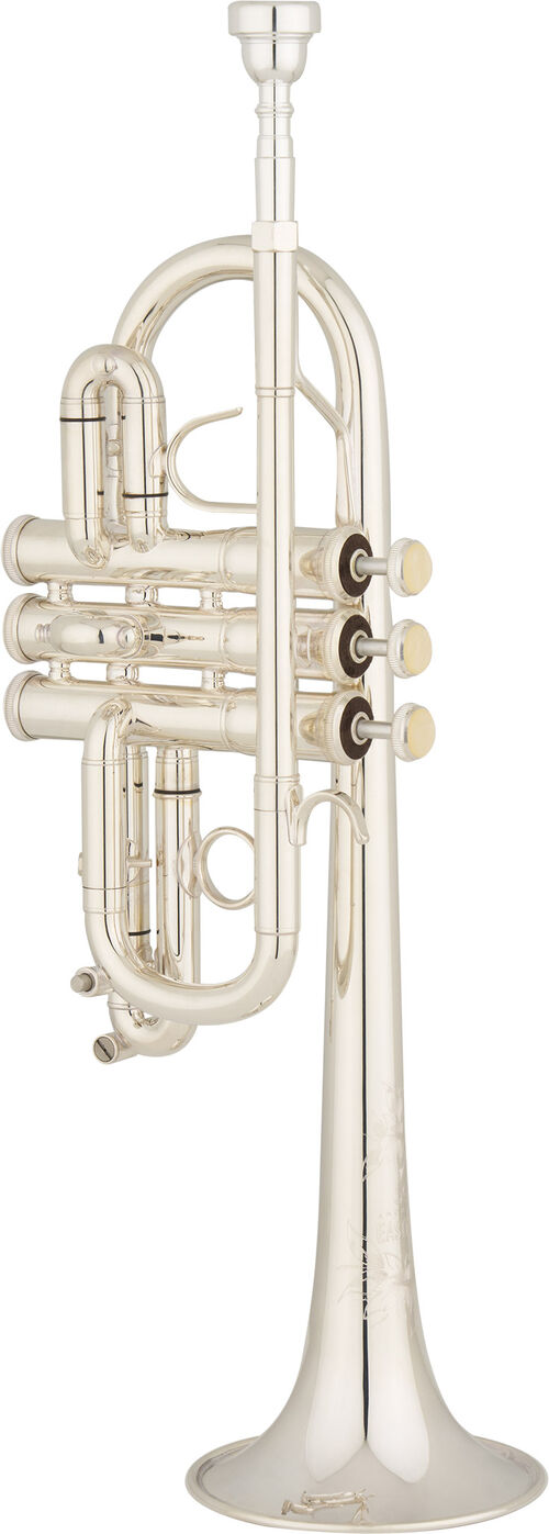 Trompeta Eastman ETR554S Plateada Performance en Re/Mib