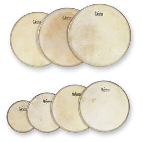 Parche de Piel C/ Arillo 25 Cm 08730 Gonalca