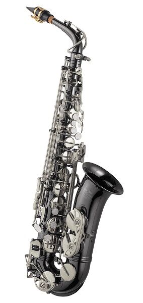 Saxo Alto J. Michael Al1200bs