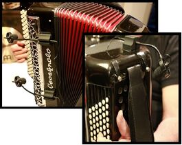 Micrófono para Acordeón Prodipe Al21