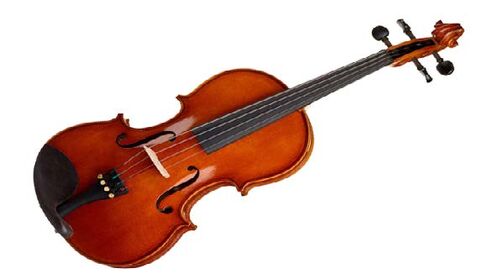 Viola Hófner Serie Estudio Superior As-190 14