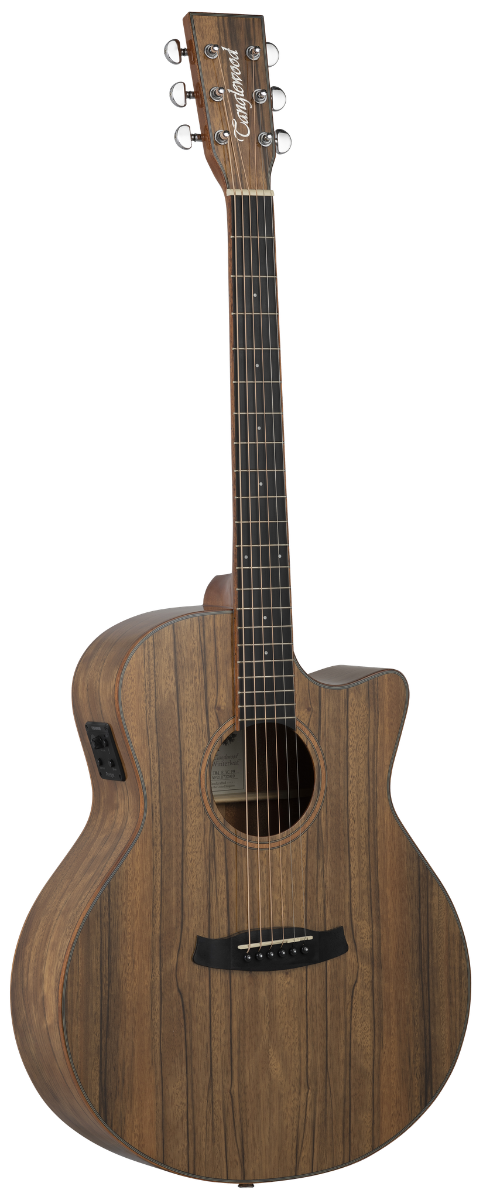 Guitarra Acústica Tanglewood Serie Winterleaf Exotic Pacific Walnut
