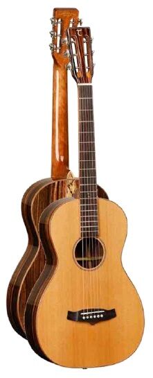 Guitarra Acstica Tanglewood Twjpe Parlour