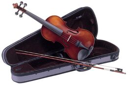 Violín Carlo Giordano Vs1 1/2