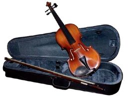 Violín Carlo Giordano Vs15 1/4