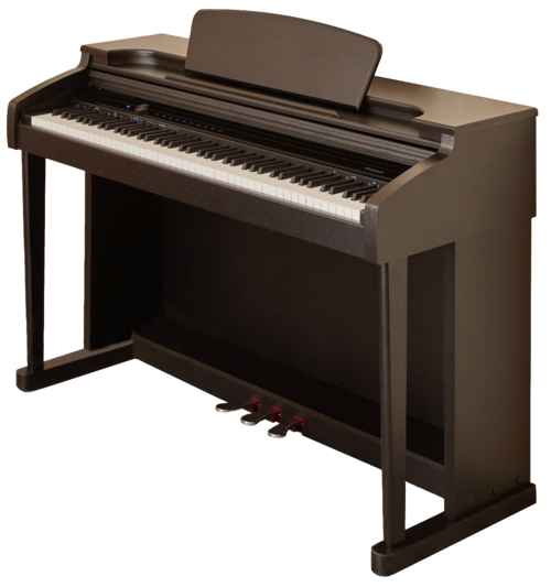 Piano Digital Ekp300 Rosewood