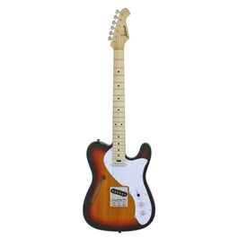 Guitarra Eléctrica Aria Serie Teg-Tl Modern Classics Sombreada