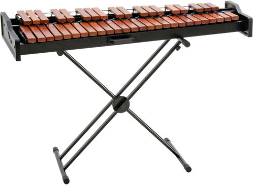 Marimba Academy Junior Adams