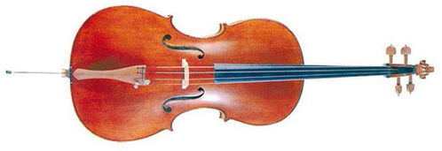 Violoncello Oc300 3/4 Oqan