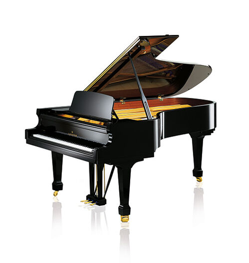 Piano Academy A 228 Negro Bechstein